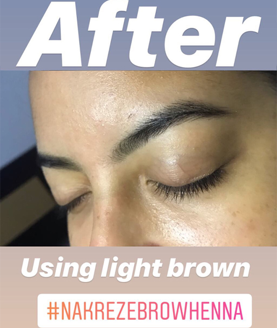 pic_brow04